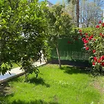 Premium Park 4* Kemer